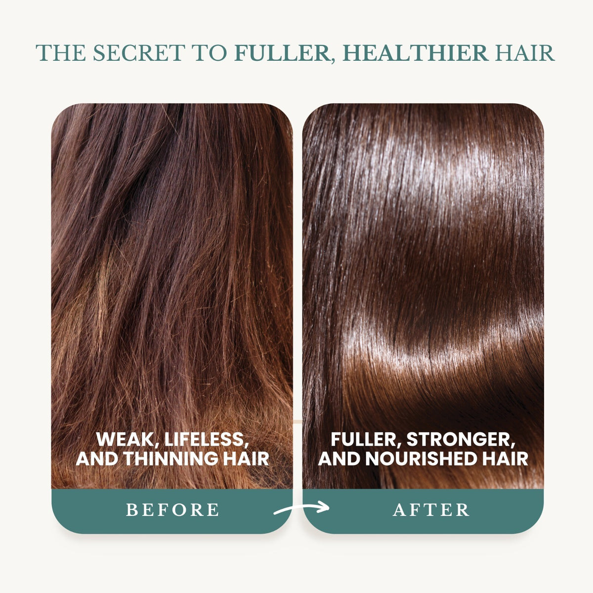 Biotin & Rosemary Hair Growth Shampoo Set - Thickening & Anti-Hair Loss, 16 oz, 2 Pack