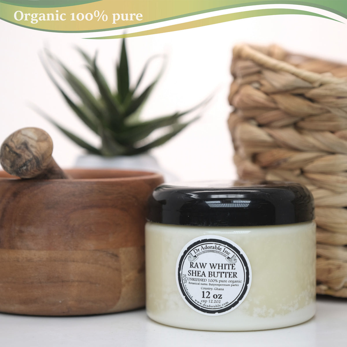 Unrefined White Shea Butter - 100% Organic Raw