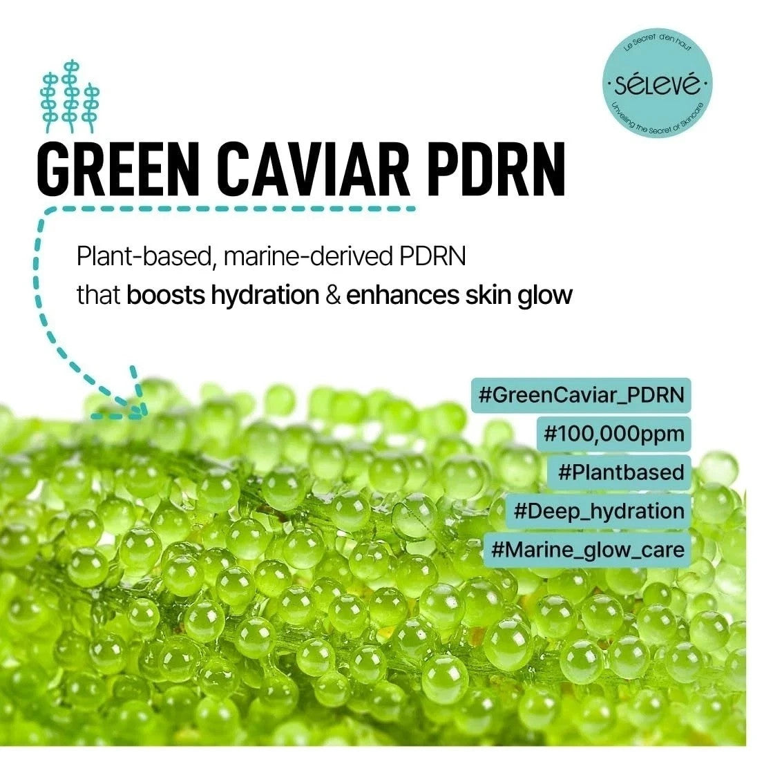 Hydrating Skin Serum with Niacinamide & Retinol - 50ml Glow Caviar Ampoule