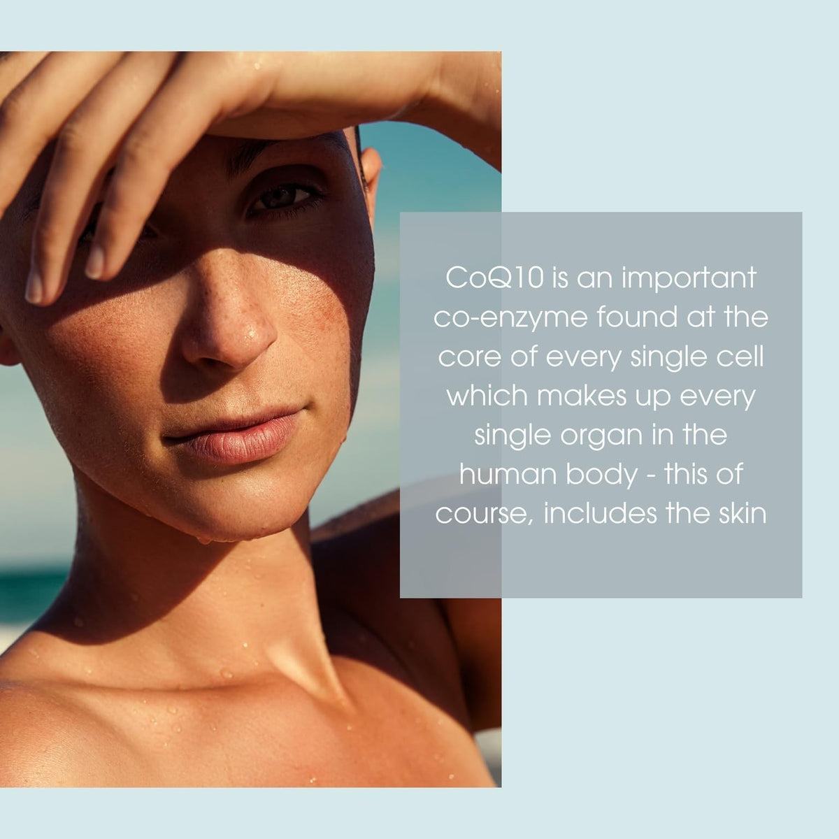 Anti-Aging Face and Neck Serum with Coenzyme Q10 - Skin Care for Youthful Look
