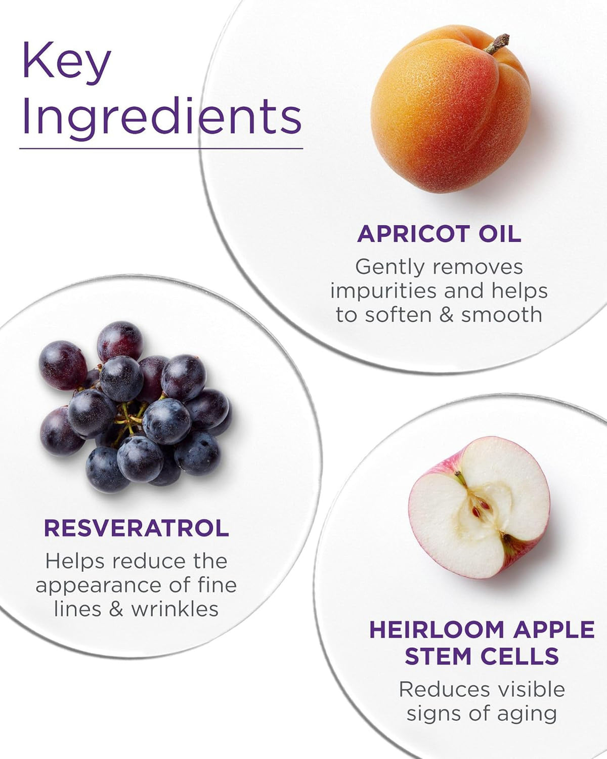 Apricot Probiotic Facial Cleansing Milk - Nourishing & Hydrating, 6 Fl Oz