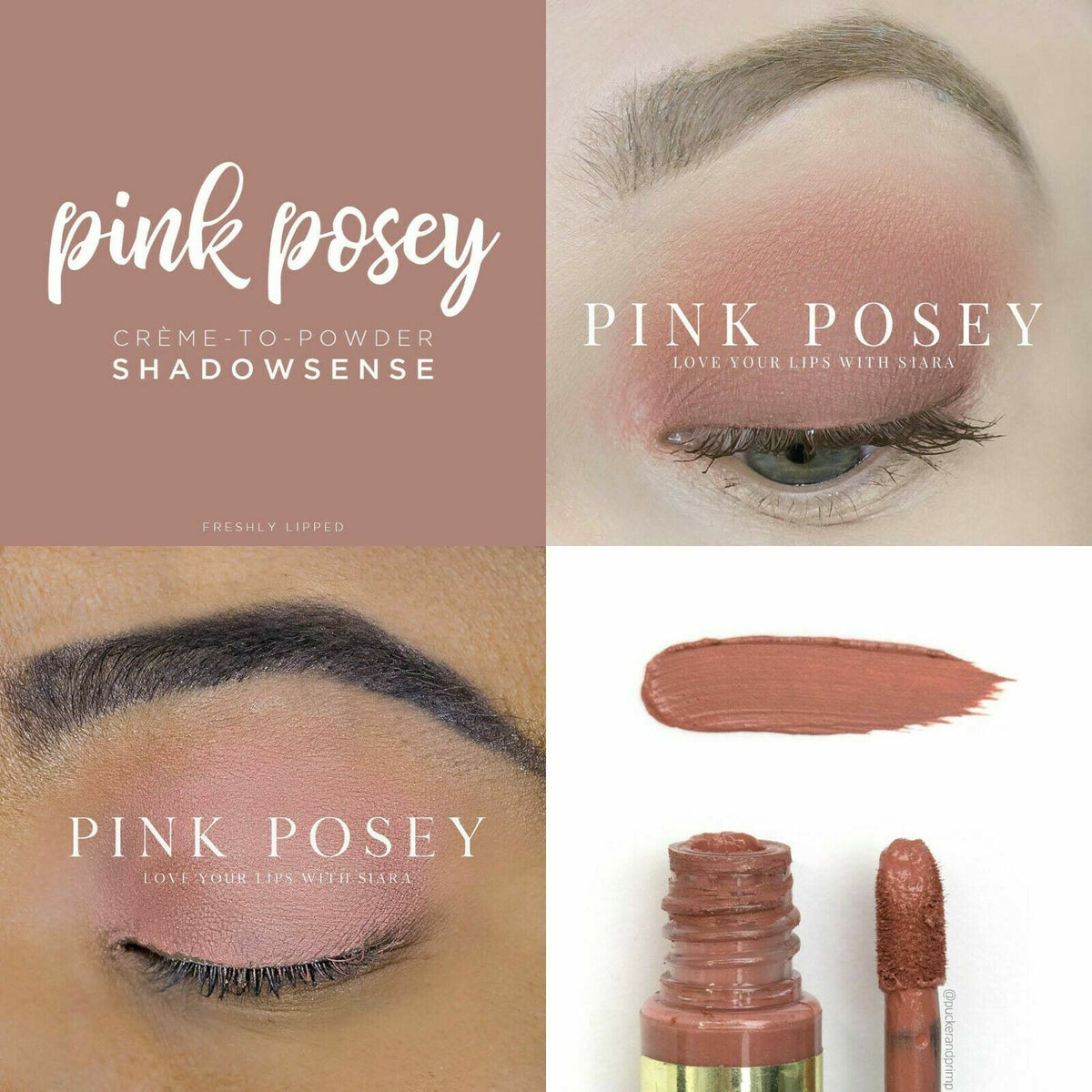 ShadowSense Eye Shadow - All Shades Authentic SeneGence Makeup