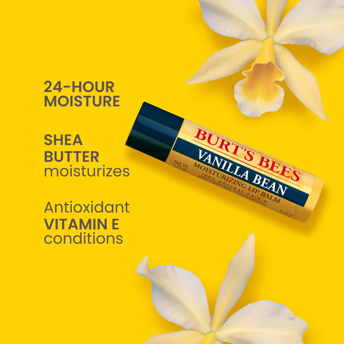 Natural Vanilla Bean Lip Balm Set - Moisturizing & Nourishing Lip Care