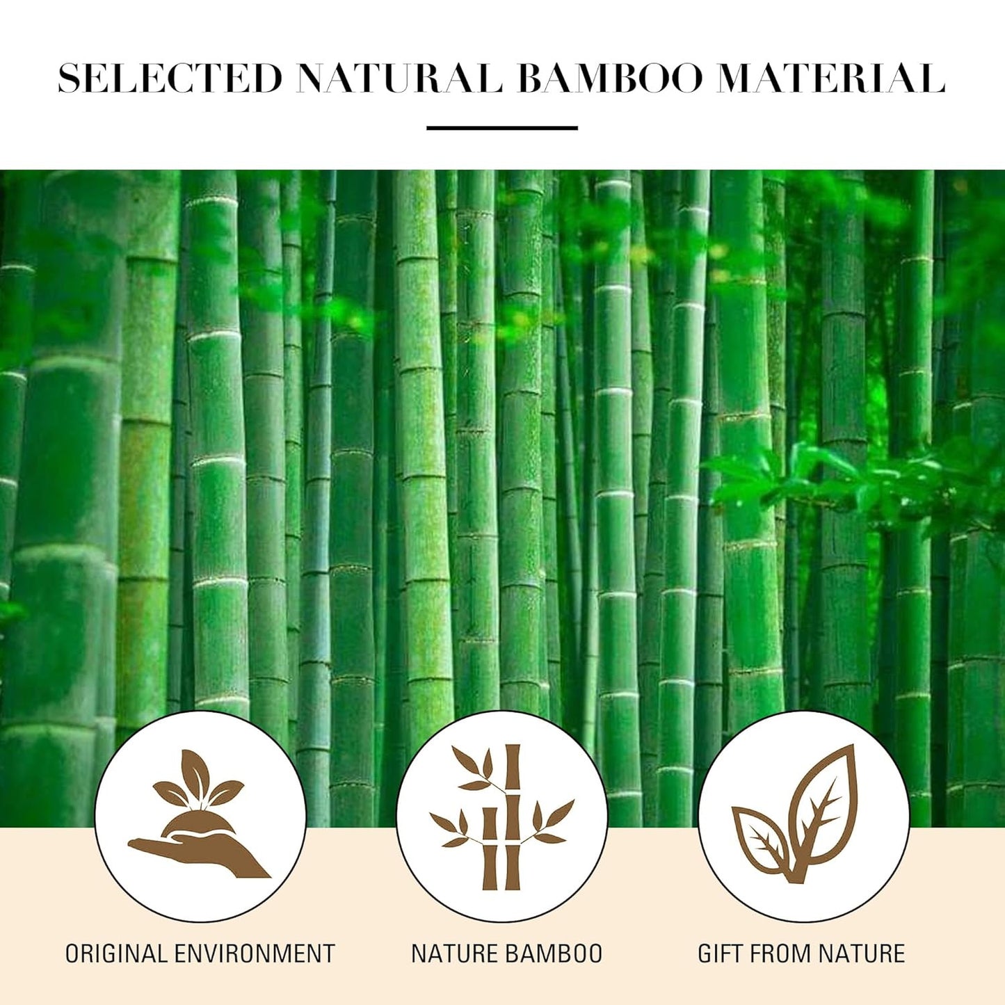 Bamboo Paddle Hair Brush with Steel Bristles for Detangling & Frizz Control