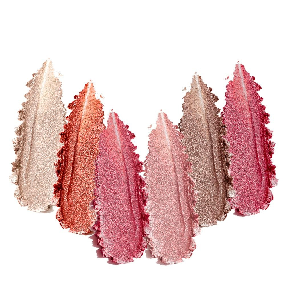 Eyeshadow Palette with 6 Neutral Shades - Matte & Shimmer for Day & Night
