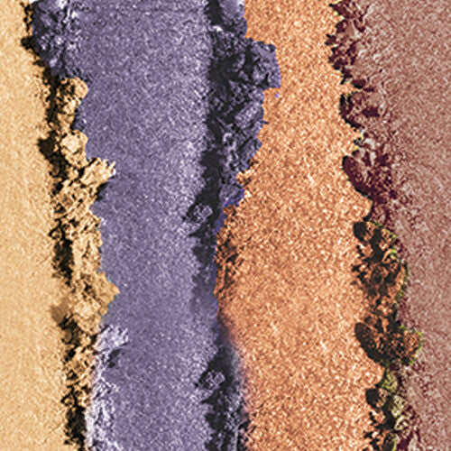 2 Pack Rich & Famous Eyeshadow Collection - Assorted Color Palettes