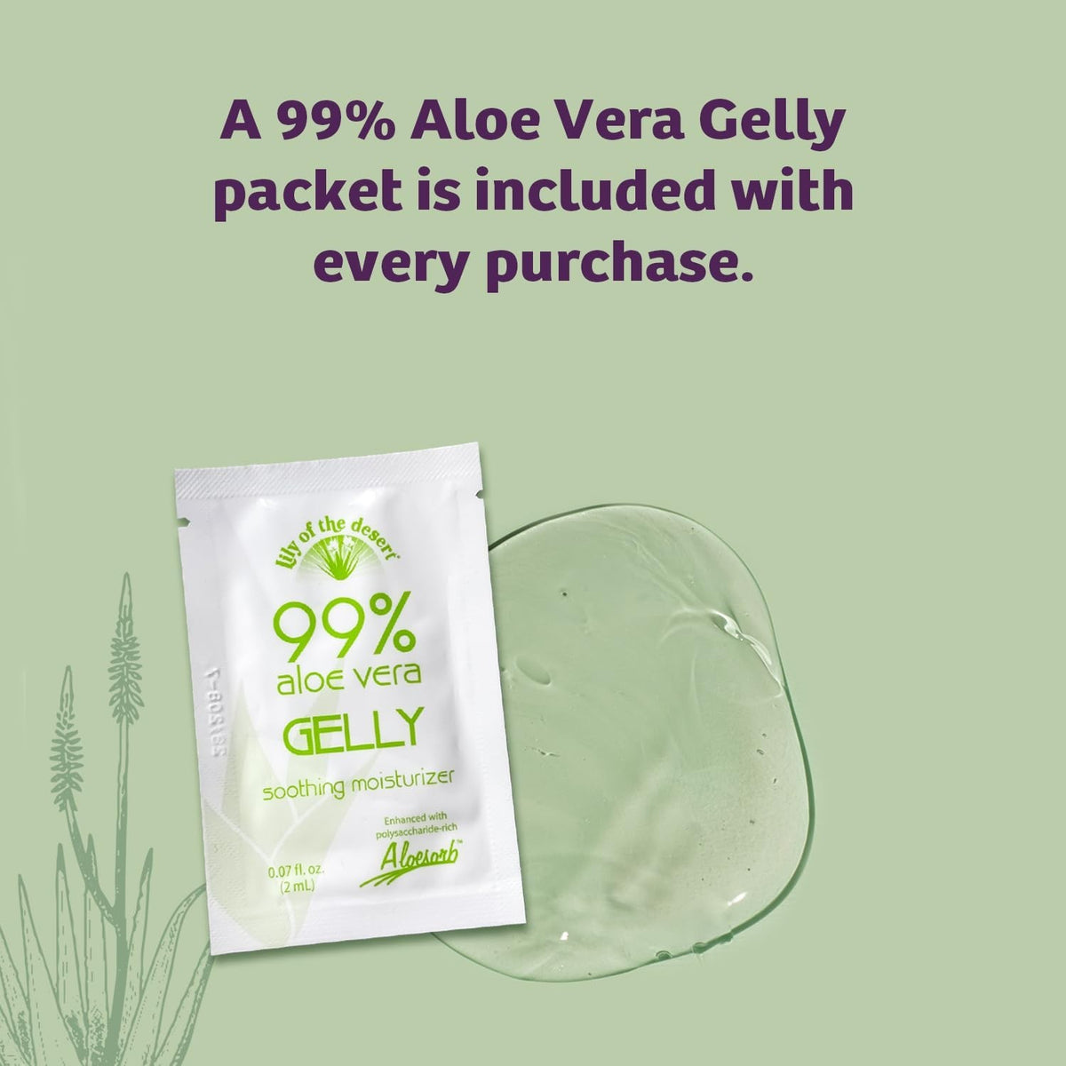 Aloe Vera Gel Moisturizer 4 oz - Pack of 6