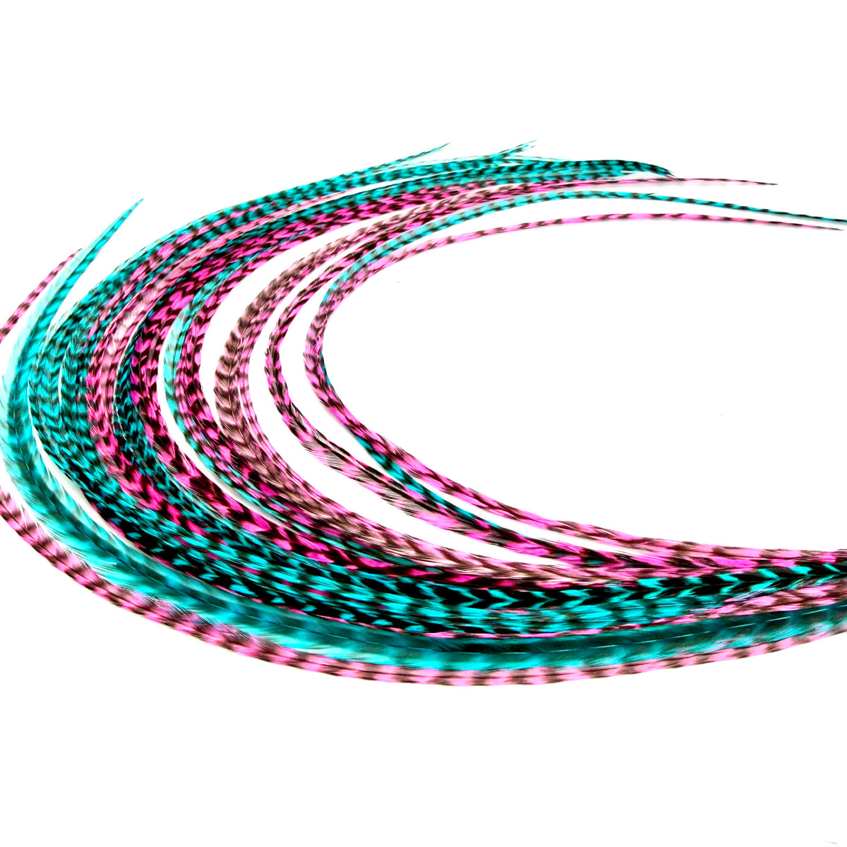 Feather Hair Extensions Kit - 21 Piece Salon Grade Clip-In Extensions in Multiple Colors
