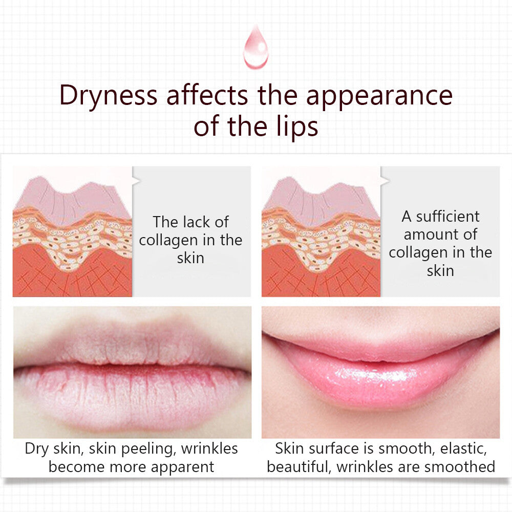 Lip Moisturizer with Collagen & Shea Butter - Nourishing Lip Treatment 20g