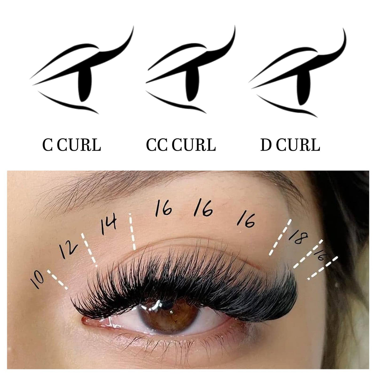 Volume Lash Extensions 8-16mm Self-Fanning Eyelash Fans - D-0.03 Thickness