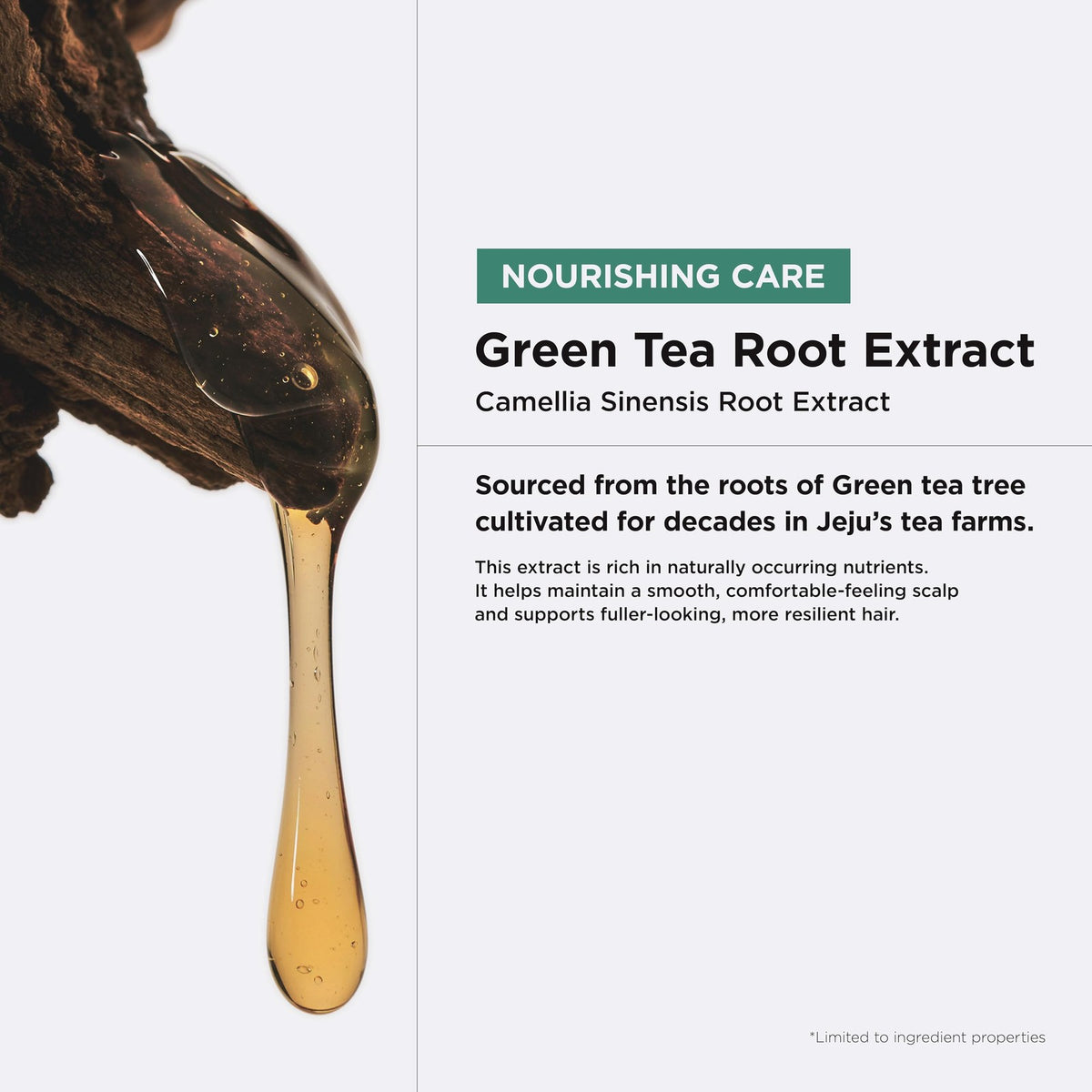 Anti-Aging Green Tea Shampoo for Fine Thinning Hair - Volumizing & Scalp Care