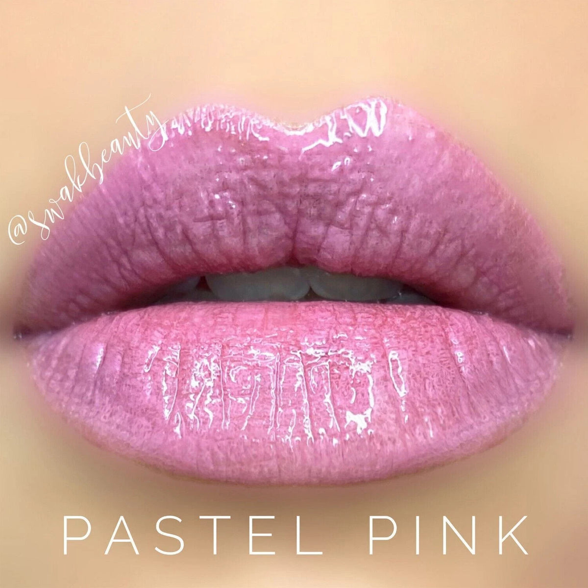 Long-Lasting Lip Color & Gloss Set - All Shades, Smudge-Proof & Waterproof