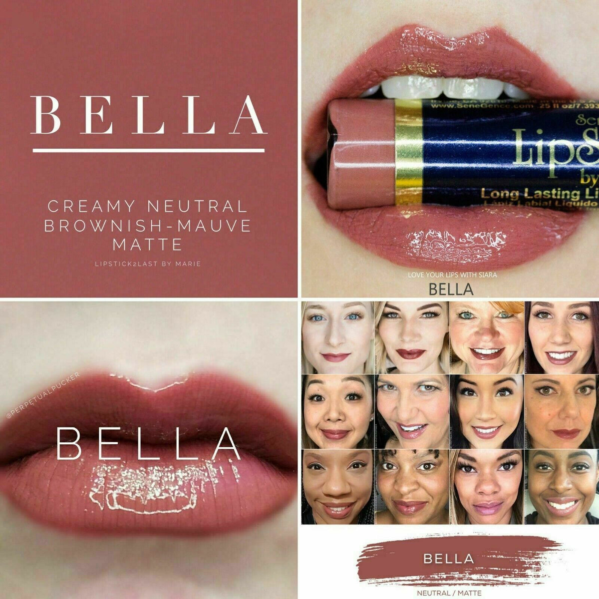 Long-Lasting Lip Color & Gloss Set - All Shades, Smudge-Proof & Waterproof