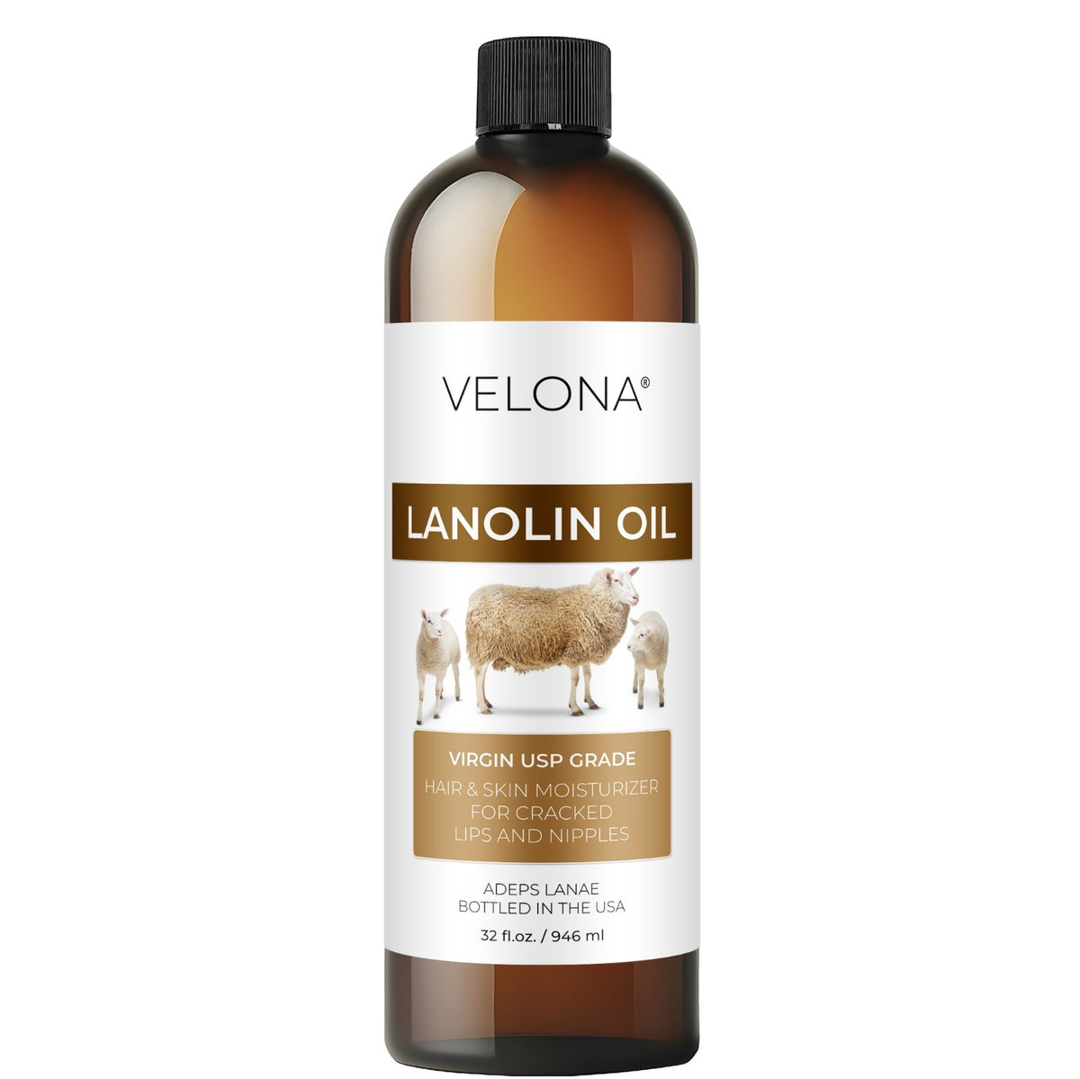 Lanolin Oil USP Grade - 100% Pure Cold Pressed