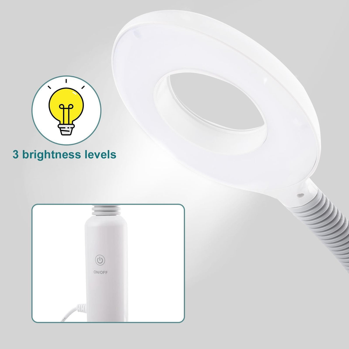 2-in-1 Facial Steamer with 5X LED Magnifying Lamp