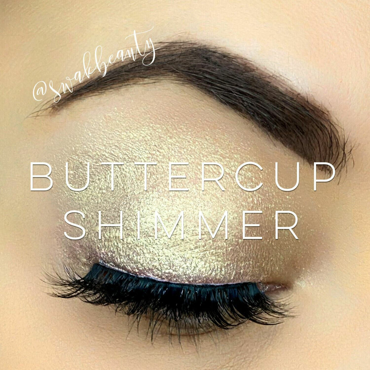 ShadowSense Eye Shadow - All Shades Authentic SeneGence Makeup