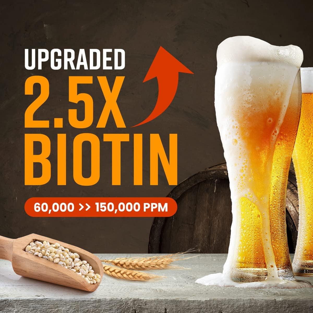German Beers Yeast Biotin Shampoo for Hair Loss Prevention and