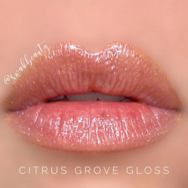 Long-Lasting Lip Color & Gloss Set - All Shades, Smudge-Proof & Waterproof