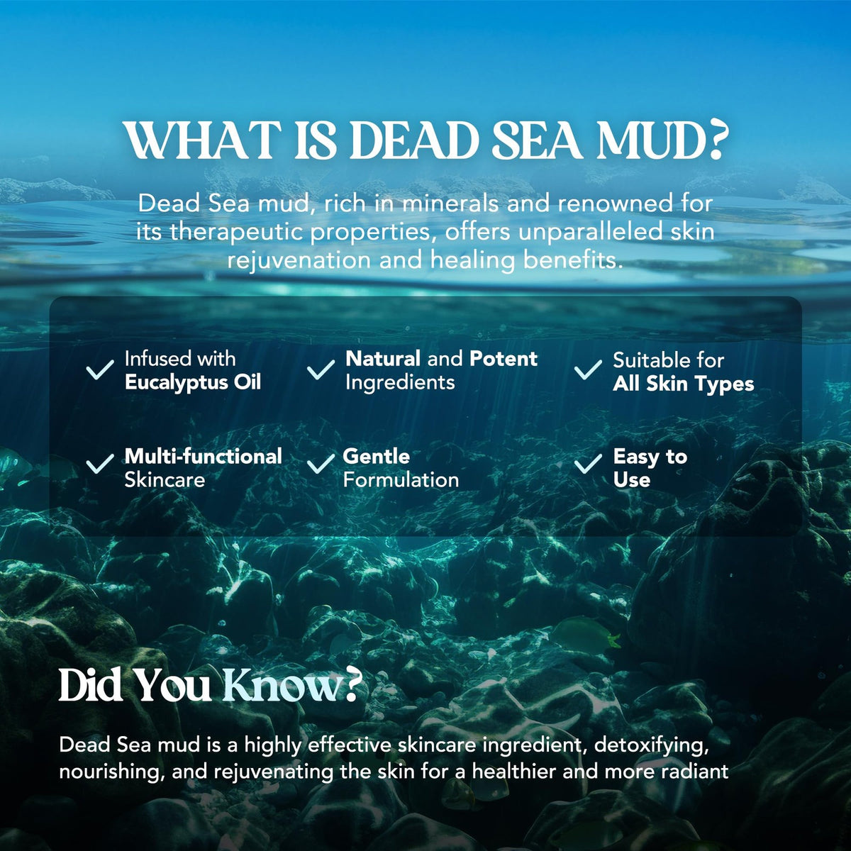 Dead Sea Mud Mask for Face & Body – 10.58 oz