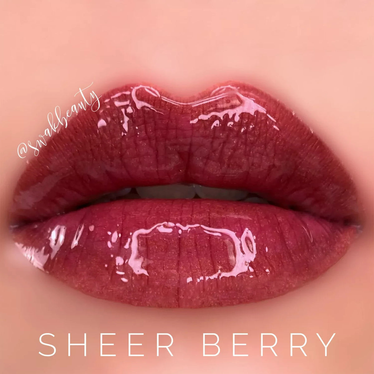 Long-Lasting Lip Color & Gloss Set - All Shades, Smudge-Proof & Waterproof