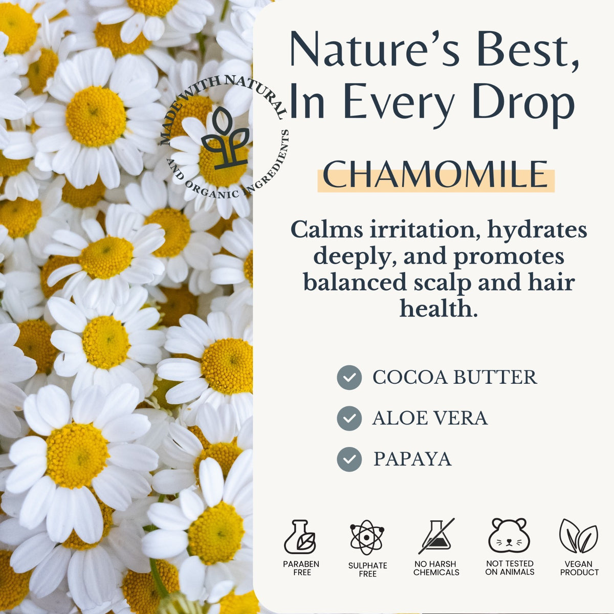 Vegan Chamomile Shampoo with Cocoa Butter & Aloe Vera - Hydrating 16 oz