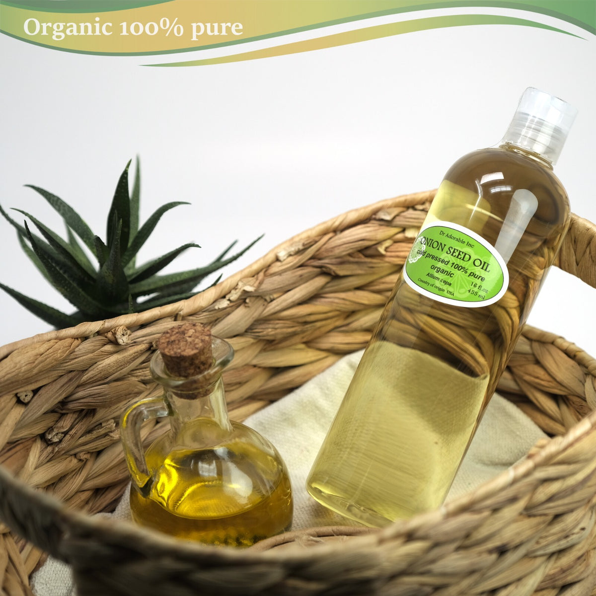 Organic Onion Seed Oil for Hair & Skin Care - Cold Pressed, 2oz to 7lb