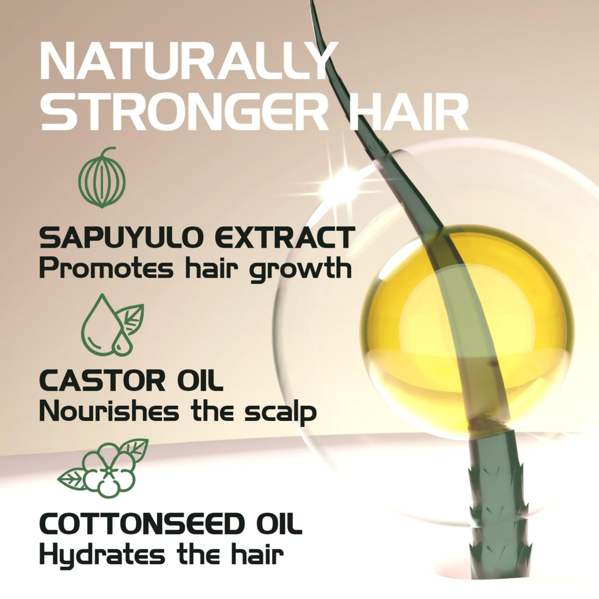 Sapuyulo Oil Hair Treatment - Natural Herbal Scalp Tonic, 2 fl oz (3-Pack)