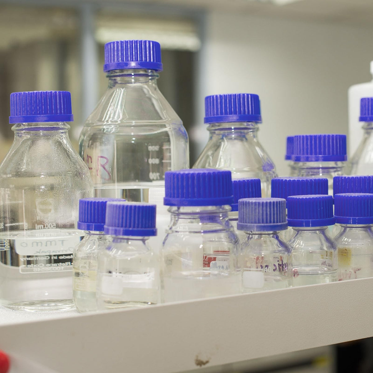 100ml Laboratory Reagent Storage Bottles 8 Pack Borosilicate Glass with Blue Caps