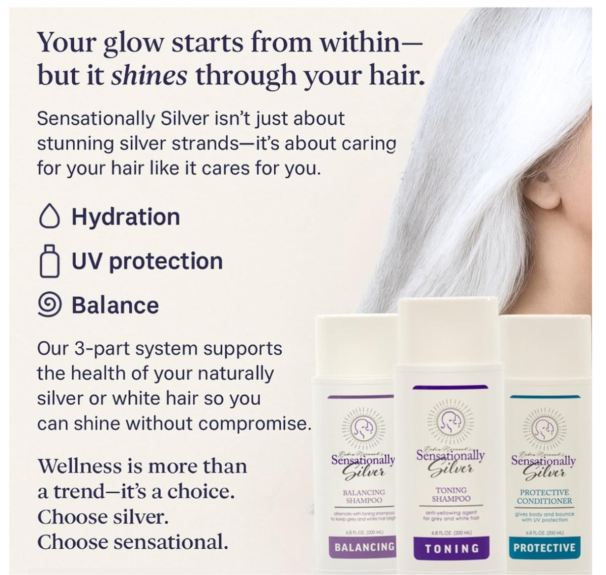 Sensationally Silver 3-Piece Gift Set – Premium Hair Care Trio for