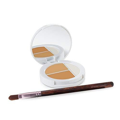 Sheer Cover Conceal and Brighten Highlight Trio Assorted Colors