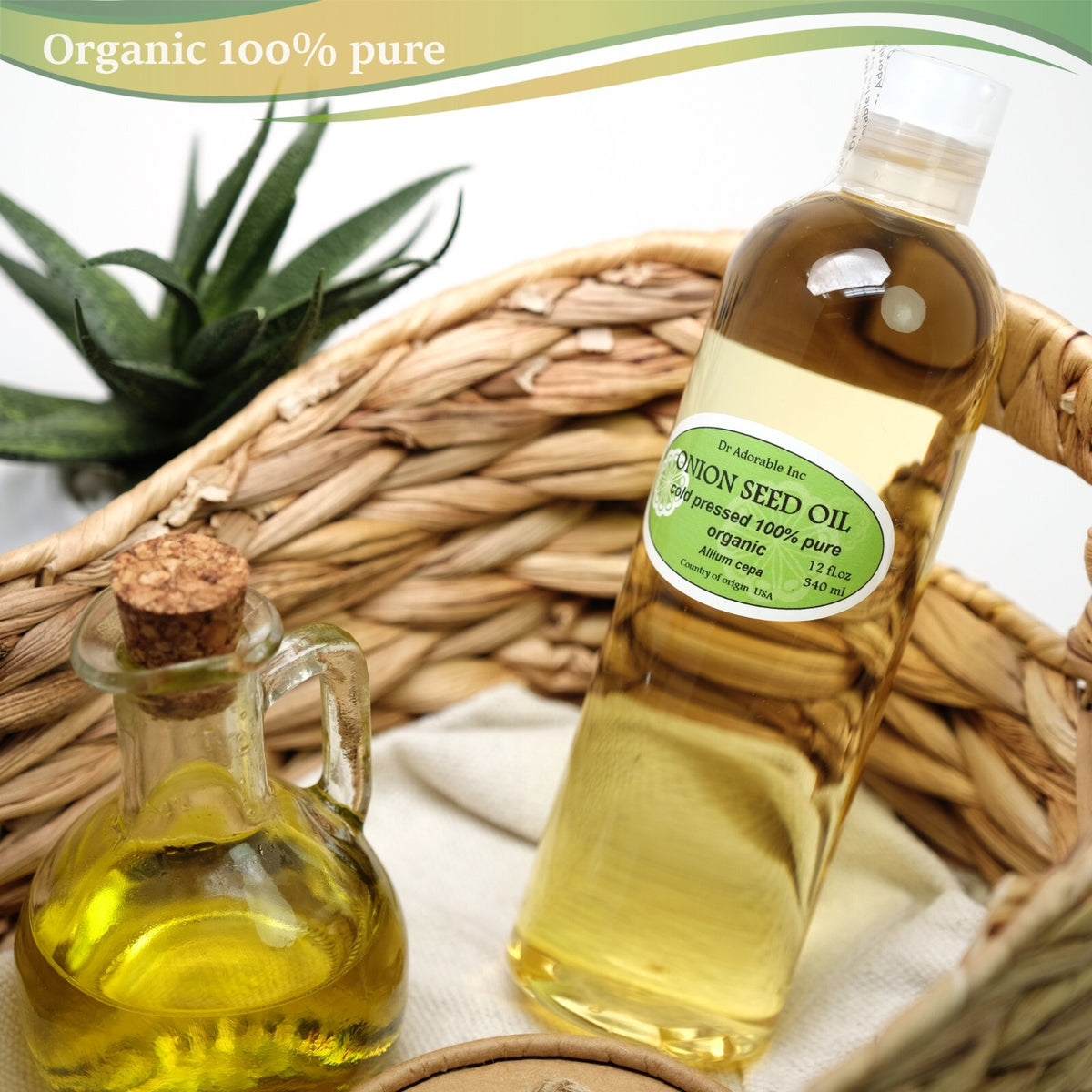 Organic Onion Seed Oil for Hair & Skin Care - Cold Pressed, 2oz to 7lb