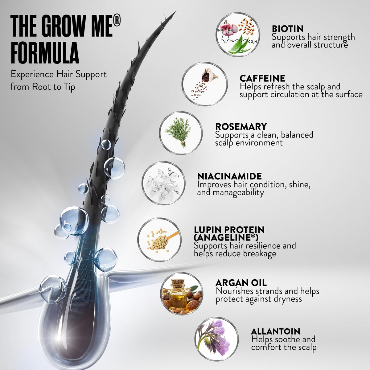 Organic Hair Growth Shampoo – Biotin, Rosemary & Argan Oil