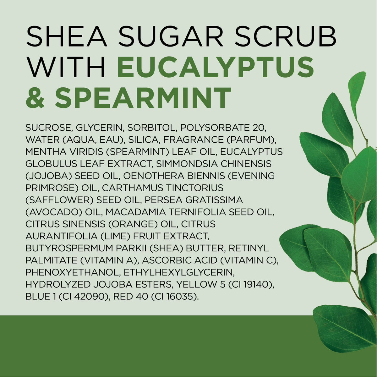 Dr Teal's Shea Sugar Body Scrub Eucalyptus and Spearmint, 19 oz -