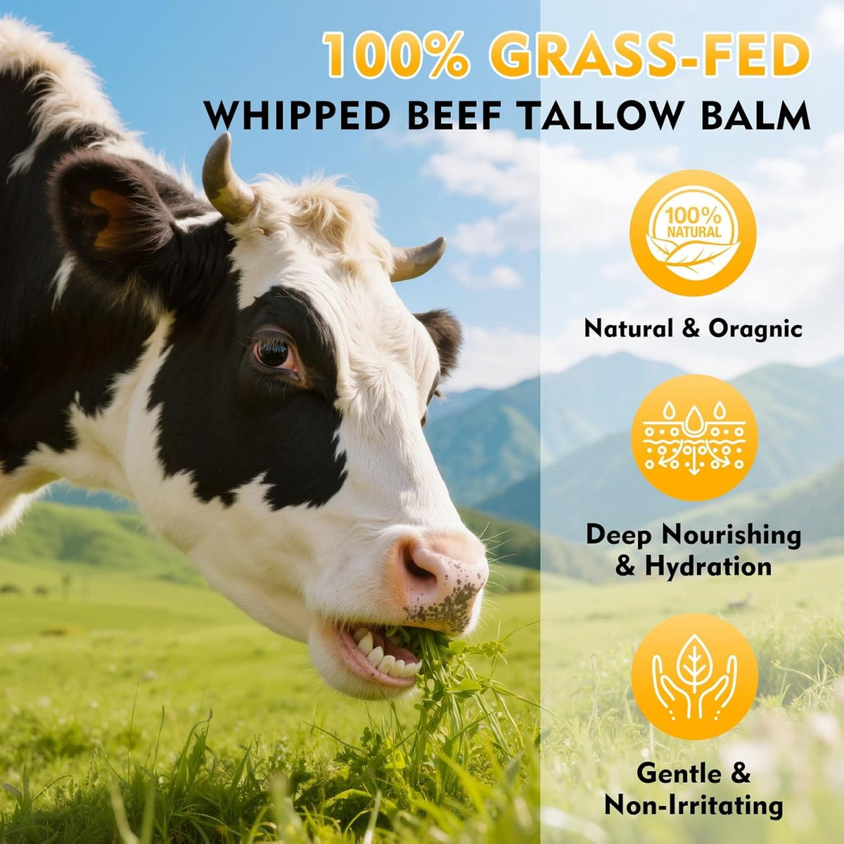 Organic Grass-Fed Beef Tallow Balm with Honey