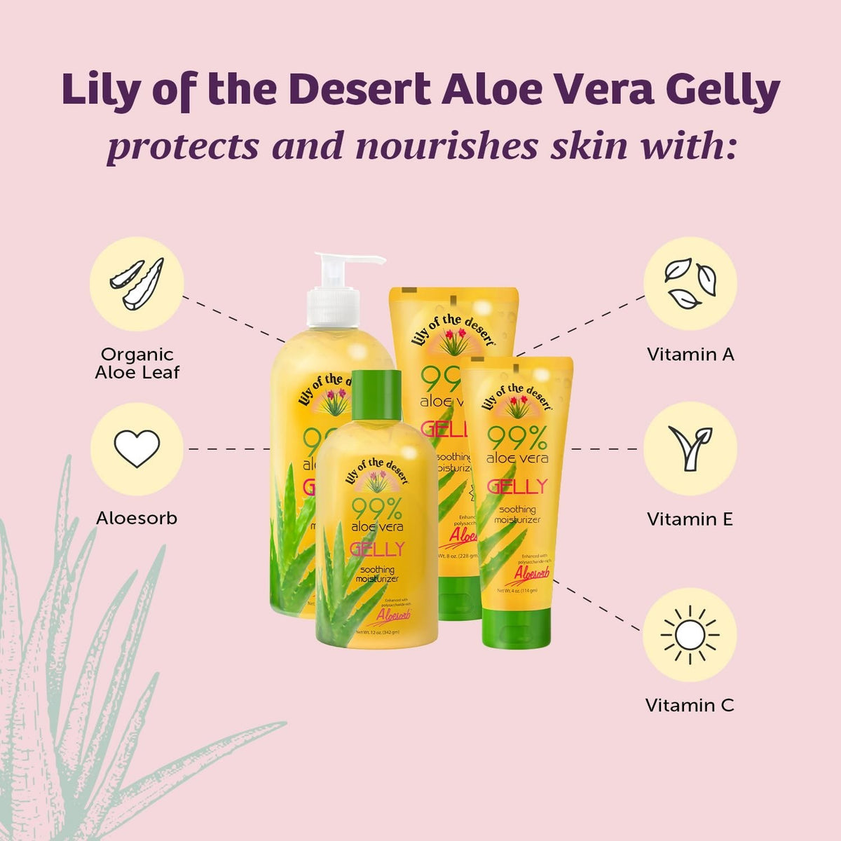 Aloe Vera Gel Moisturizer 4 oz - Pack of 6