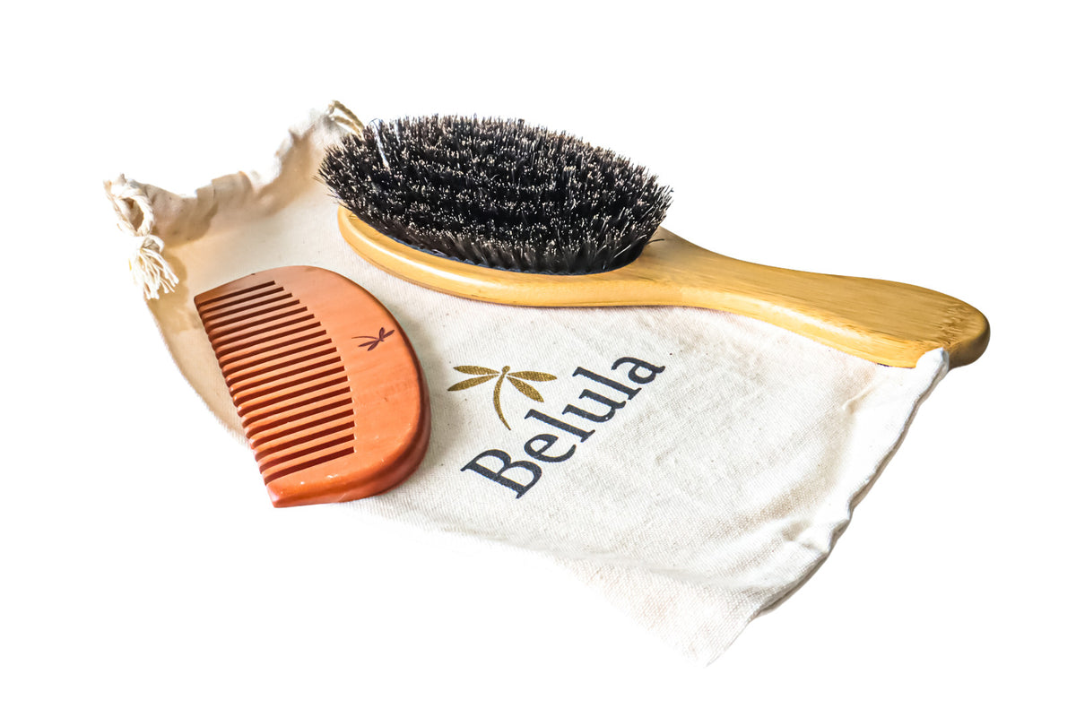 Premium Hair Brush Set with Detangler Comb & Travel Bag - Natural Shine & Frizz Control