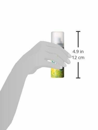 3 Pack Dry Shampoo with Tropical Coconut Scent - 1.6Oz Each