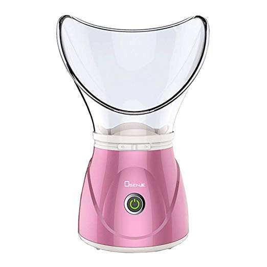 Dual Voltage Facial Steamer with Nasal & Facial Cones 110-220V Professional Spa
