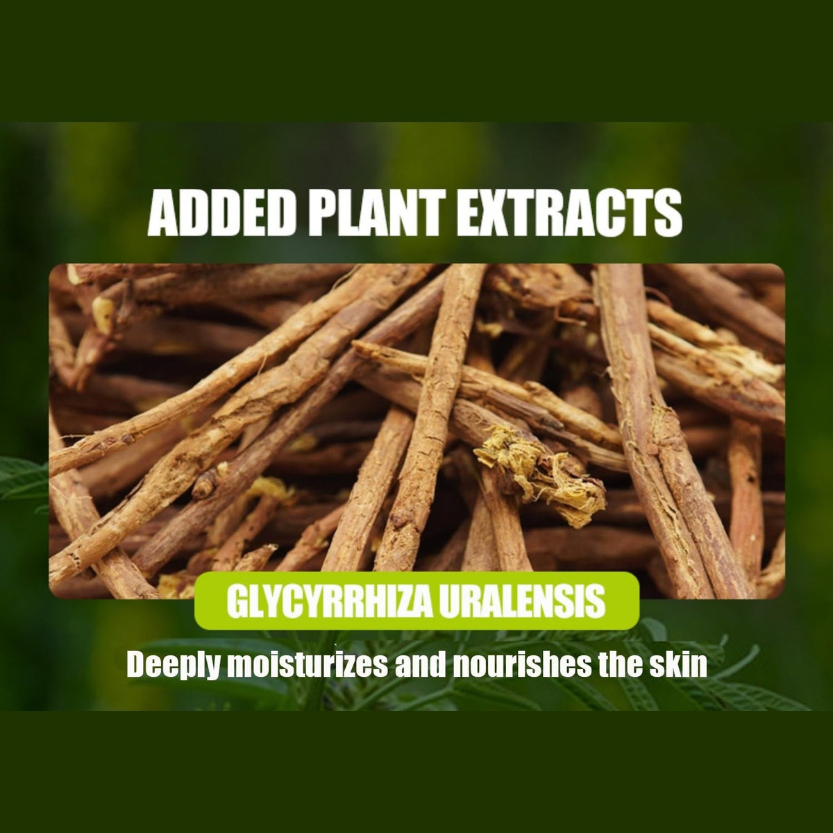 Licorice Root Body Oil for Moisturizing & Anti-Aging - 100ml
