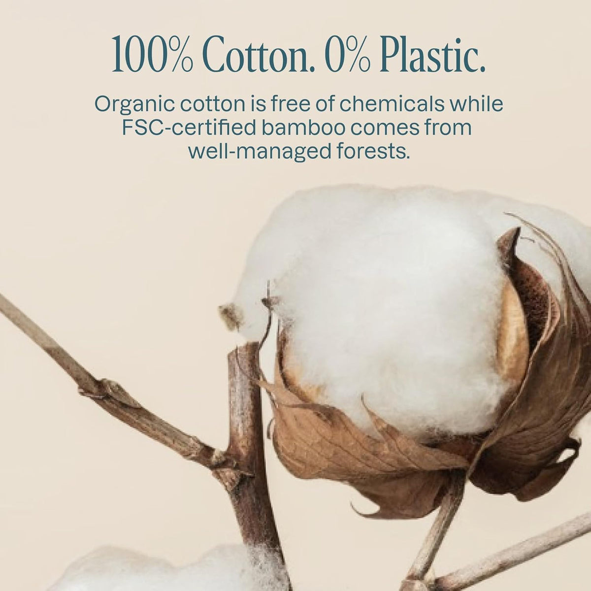Eco-Friendly Cotton Swabs with Organic Bamboo Sticks - 300 Count