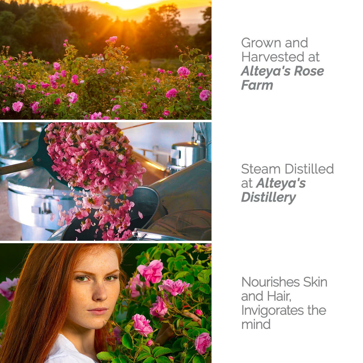Organic Rose Water - Pure Bulgarian Floral Hydrosol for Skin Care & Sensitive Skin