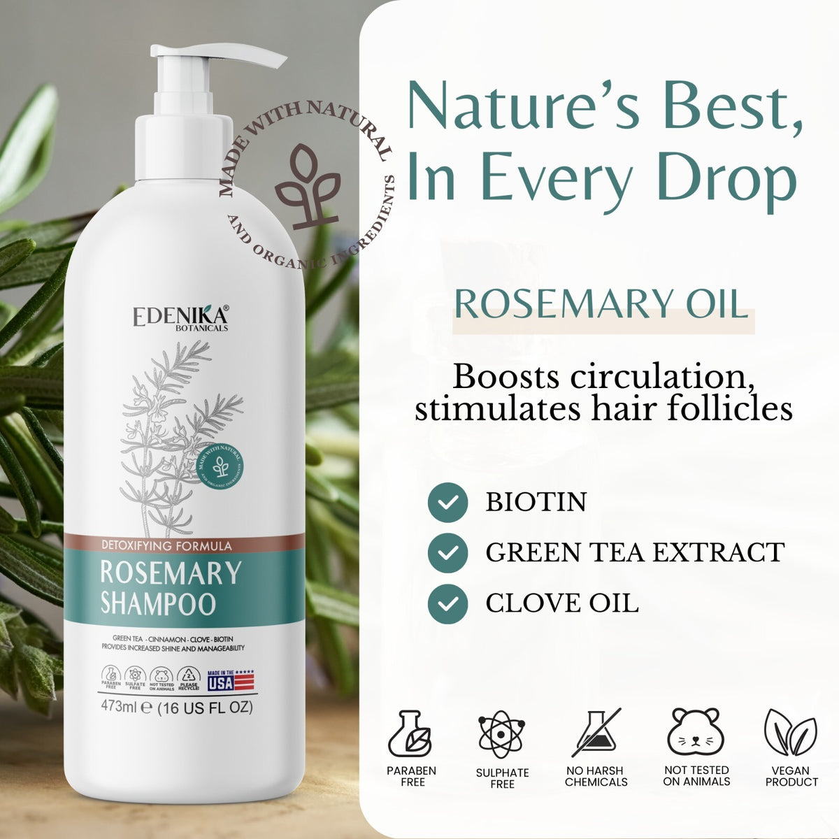 Organic Rosemary Shampoo with Biotin for Hair Loss & Thickening - 16 oz, Pack of 3