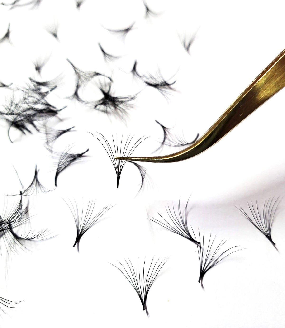Premade Volume Eyelash Extensions Fans 12D Black C & D Curl 0.05mm 10-16mm