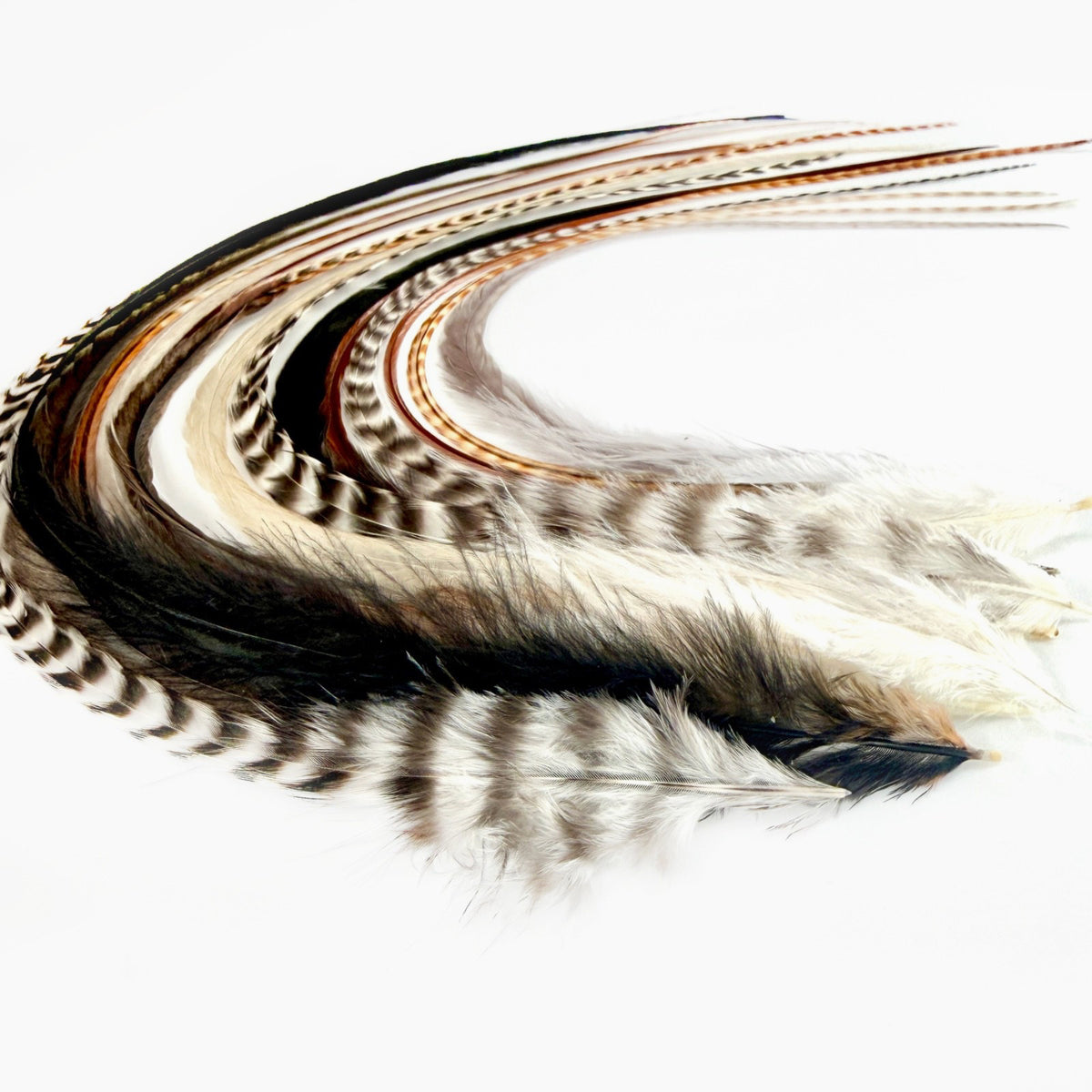 Feather Hair Extensions Kit - 21 Piece Salon Grade Clip-In Extensions in Multiple Colors