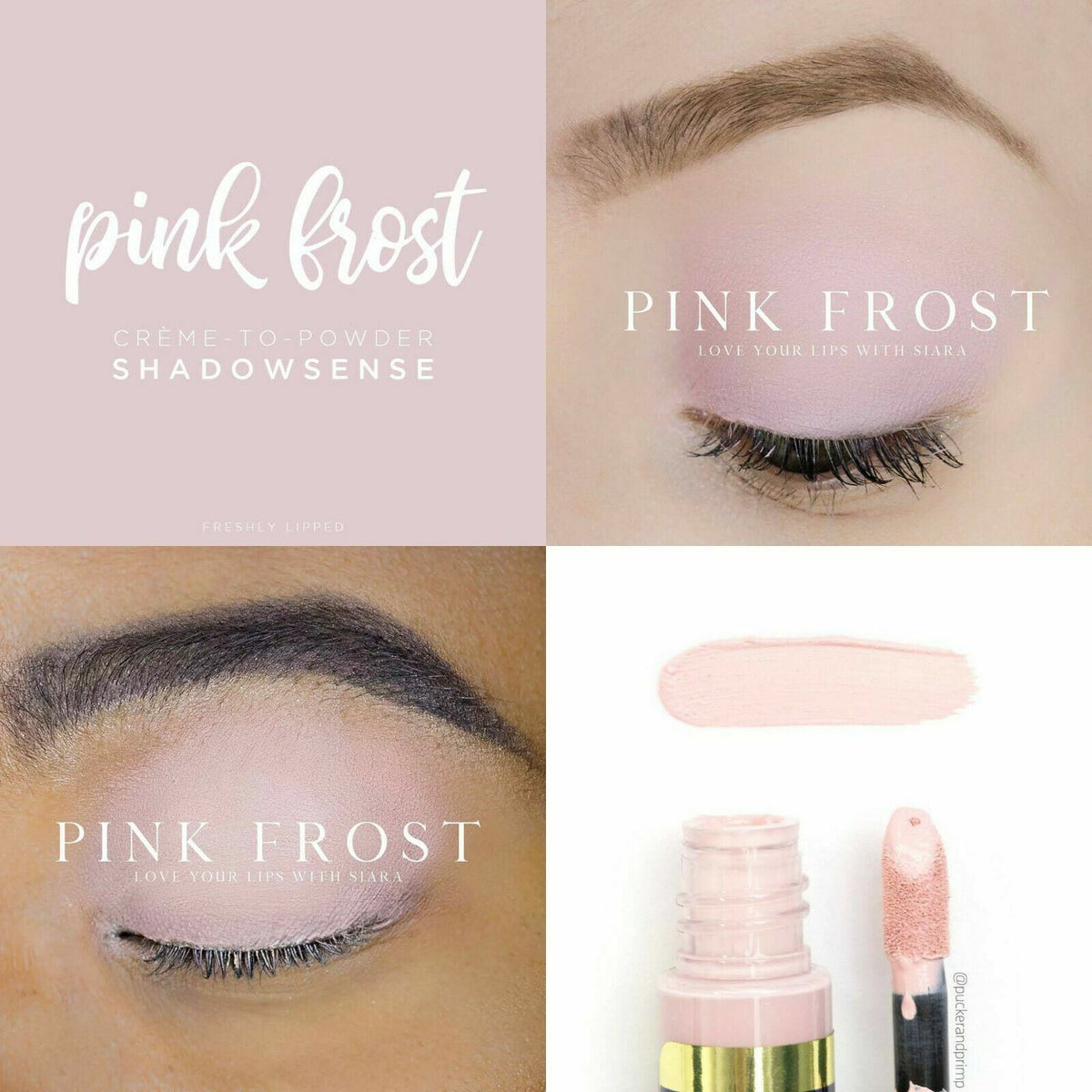 ShadowSense Eye Shadow - All Shades Authentic SeneGence Makeup