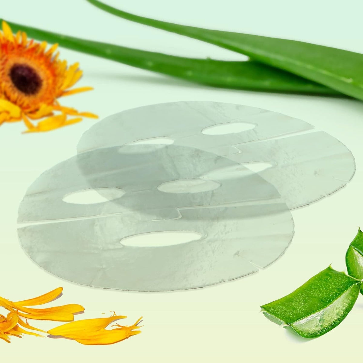 Hydrating Facial Sheet Mask with Arnica Aloe Hyaluronic Acid - 12 Pack