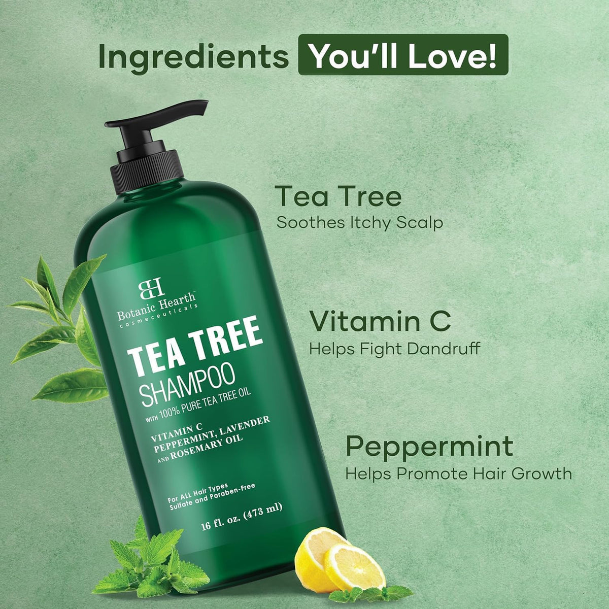 Tea Tree Shampoo 16 Fl Oz - Deep Cleansing Scalp Care