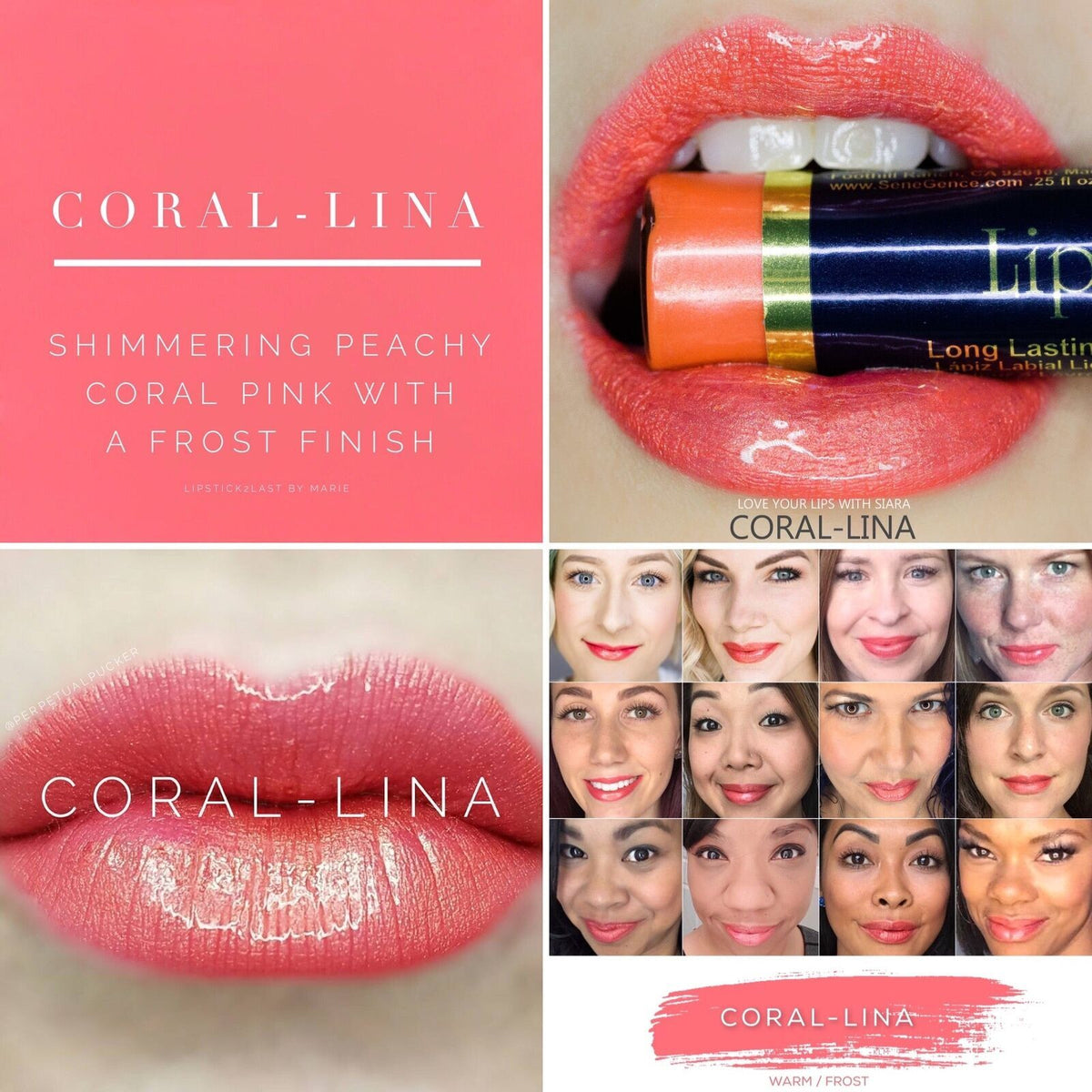 Lipstick Set - Waterproof Long-Lasting Lip Color with Gloss and Remover