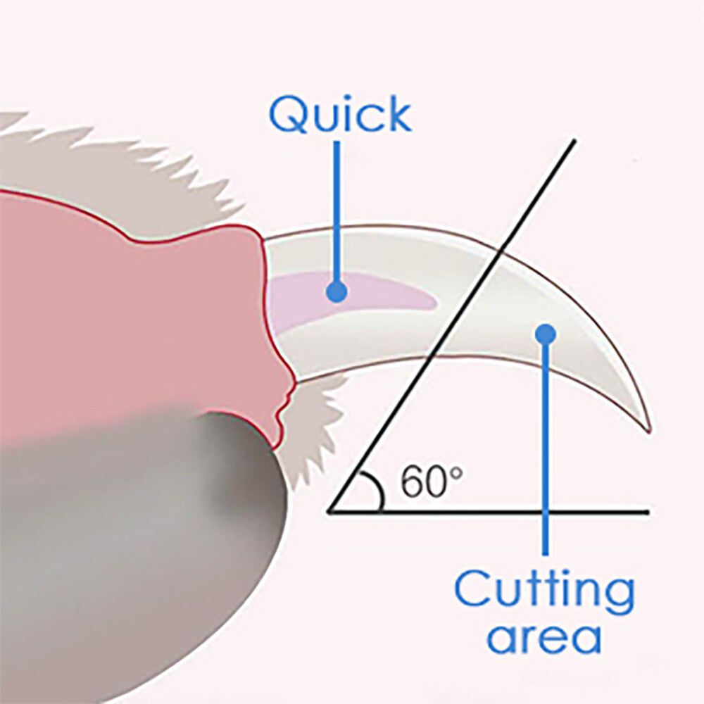 Pet Nail Clipper - Cat, Dog & Small Animal Grooming Tool