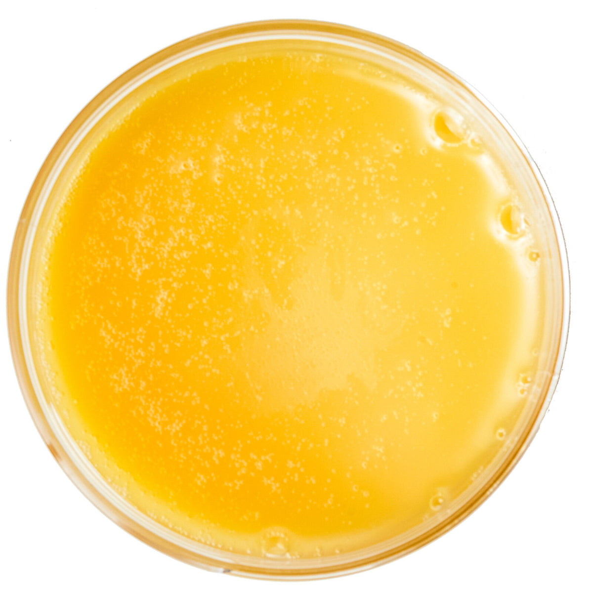 Lanolin USP Grade 4 oz - 100% Pure Anhydrous Moisturizer